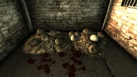 Deathclaw eggs AdamsAFB