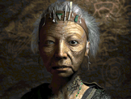 Arroyo elder, the Arroyo's leader in Fallout 2