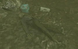 Edwin and Annika's locket