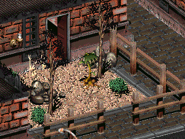 Пересаженный Сеймур