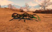 FO4NW Exterior 84.jpg