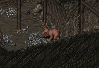 Location of the combat knife and currency