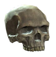 Upper skull.png (111 KB) Upper skull