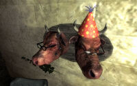 Mr. and Mrs. Brahminhead