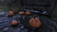 Pumpkins