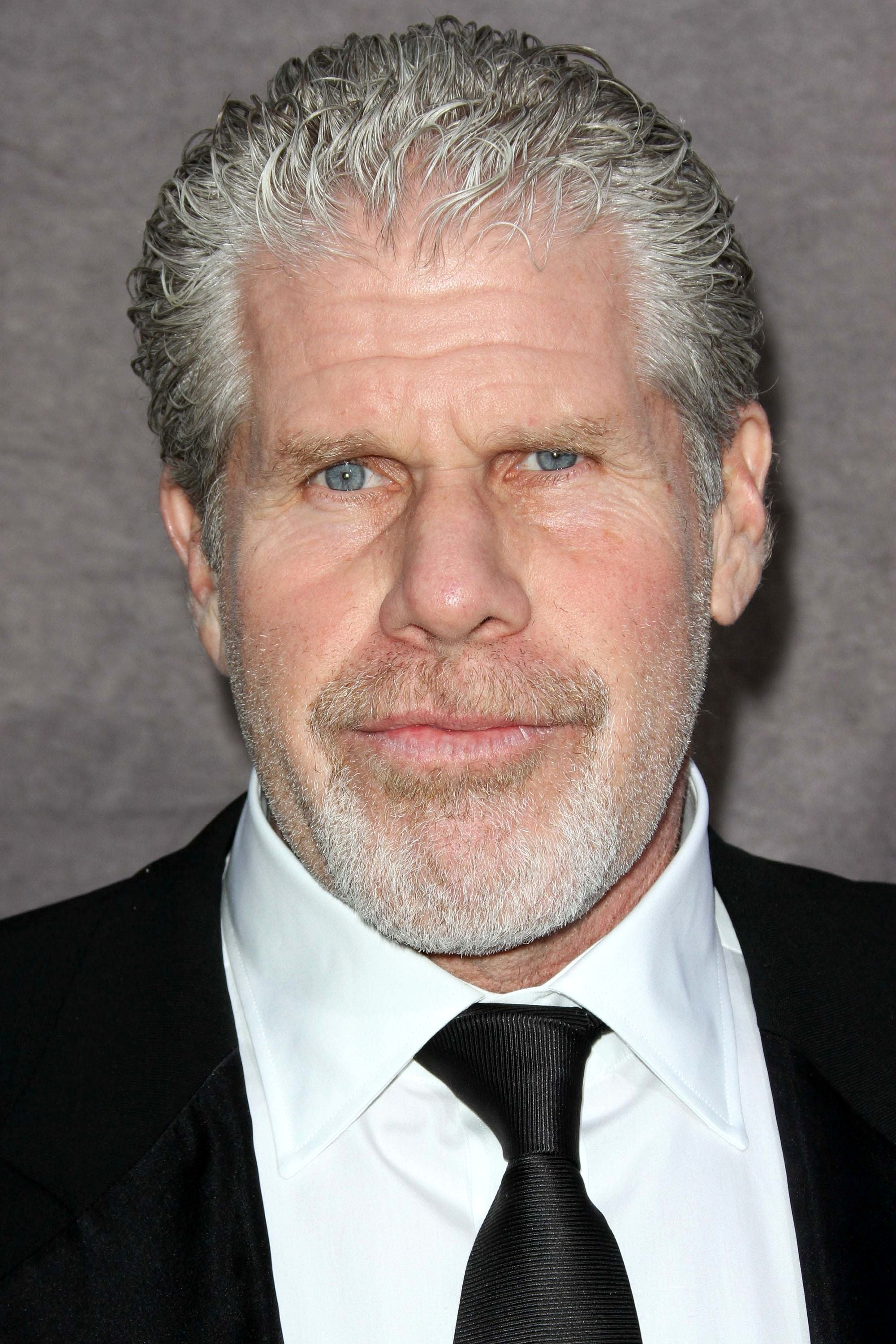 Ron Perlman Fallout Wiki Fandom