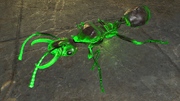 Fo4NW Glowing ant