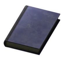 Pre-War Book 02.png (136 KB) Rare blue version