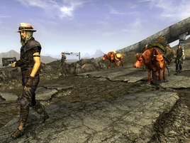 FNV Traveling merchant