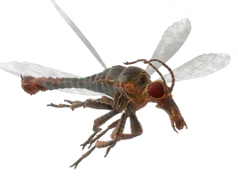 Fo4 stingwing transparent