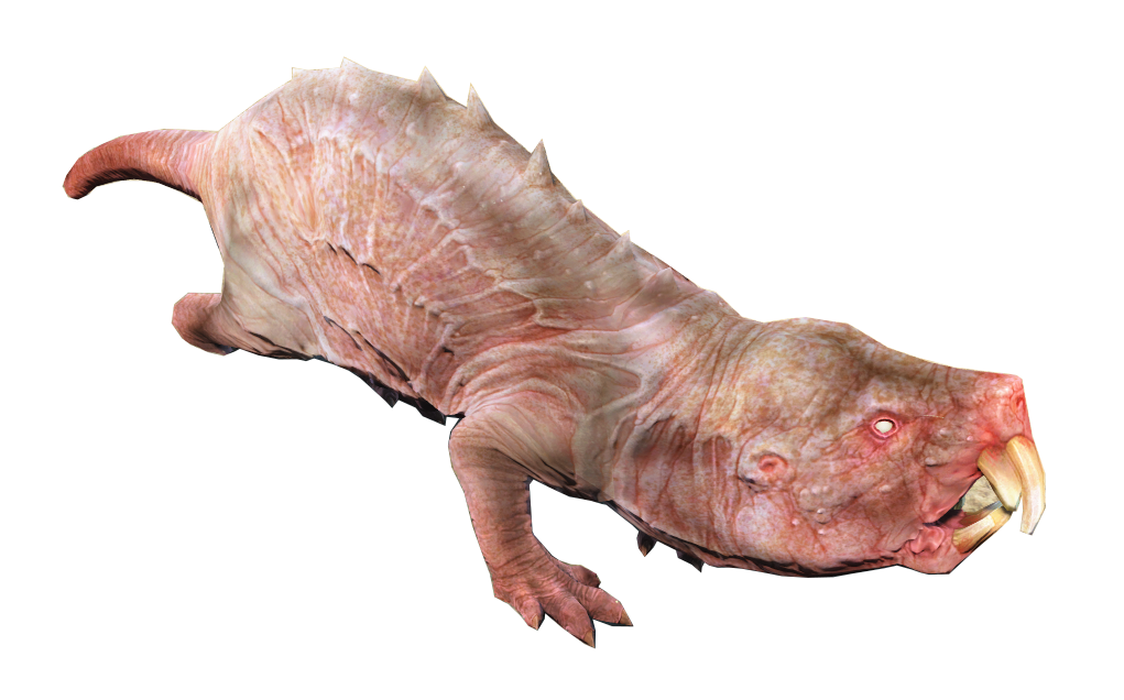 Mole Rat Fallout 4 Fallout Wiki Fandom