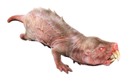 Mole rat fo4.png (1.3 MB) Fallout 4 mole rat