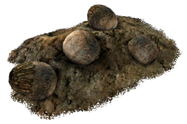 Deathclaw eggs