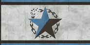 Survivalist flag