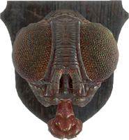 A mounted bloatfly head