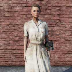 Category Fallout 76 outfits Fallout Wiki Fandom