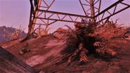 FO76 Flora non rad 23.png (3.18 MB)
