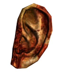 Legion ear