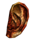 Legion ear