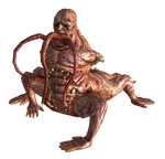 Centaur.png