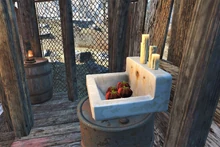 Algumas batates na pia perto do Lago Cochituate