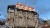 FO4 Sunshine T 4