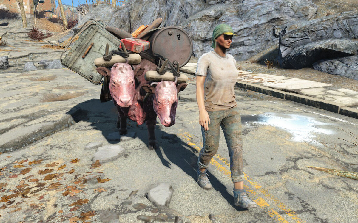 Fallout 4 бродячие торговцы фото 1