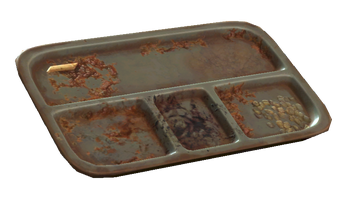 Tv dinner tray