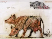 BrahminCA7.jpg (296 KB)