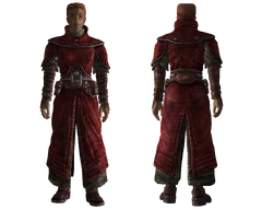 Brotherhood scribe robe
