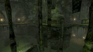 FNV Broc flower cave6