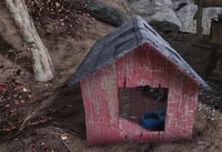 Einstein field equation