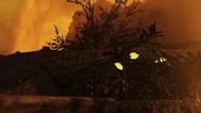 FO76 Location 12621 29.png (2.16 MB)