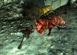 Protecting the Water Way