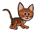 Abyssinian