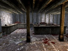 MMGO basement.jpg (286 KB) Der Keller des Wachpostens