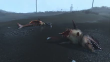 FO4 Sea creatures NStar wreck 2.jpg (329 КБ) Там же