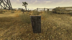 GC Tymour Saba grave