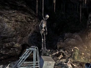 Hanging body.jpg (295 kB) El cuerpo colgado del Sr. Herzog del que Kenny habla