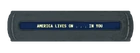 America Lives On...In You