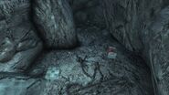 Mirelurk nesting hole