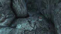 FO3 CA SOTM Mirelurk nesting hole