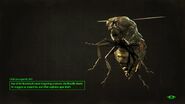 FO4 Bloatfly loading screen