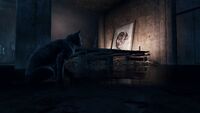 FO4 Church of the Cat