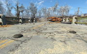 FO4 Random mines