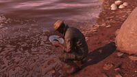 Scavenger gold panner