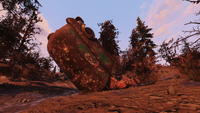 A deceased hermit crab