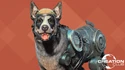 Fo4CC Cyber Dog banner