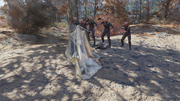 Fo76 Survivor Camp vs