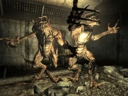 Deathclaw attack.jpg (465 kB)